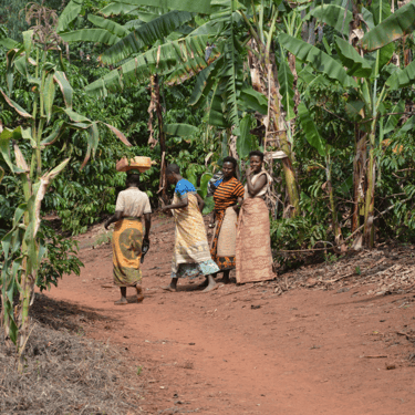 Coffee Farmers Tanzania