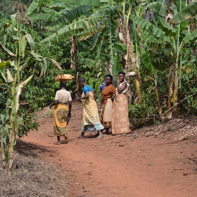 Coffee Farmers Tanzania